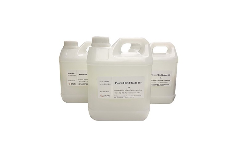 Plasmid Bind Beads 6FF