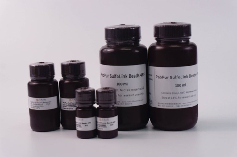 PabPur SulfoLink Beads 4FF