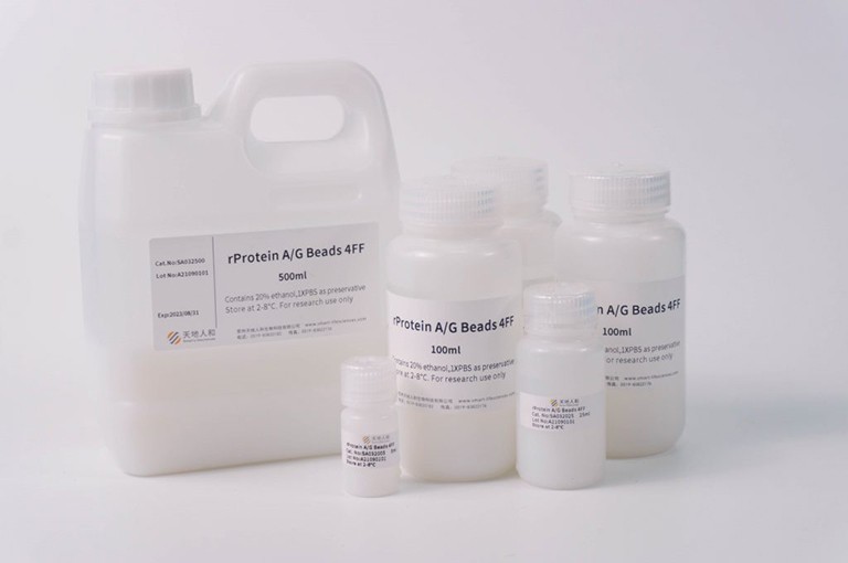 rProtein A/G Beads 4FF