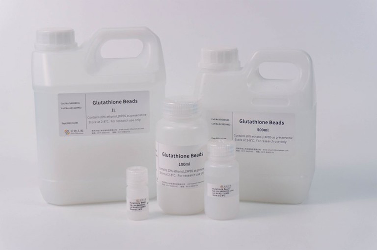 Glutathione Beads