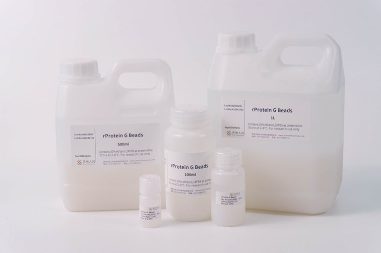rProtein G Beads