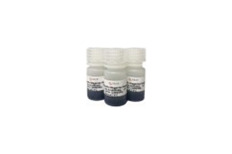 Dextrin Magarose Beads