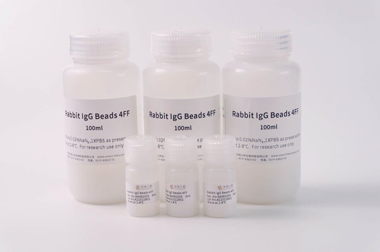 Rabbit IgG Beads 4FF
