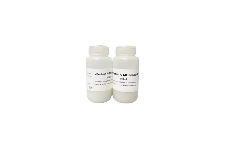 rProtein A-ME Beads 4FF