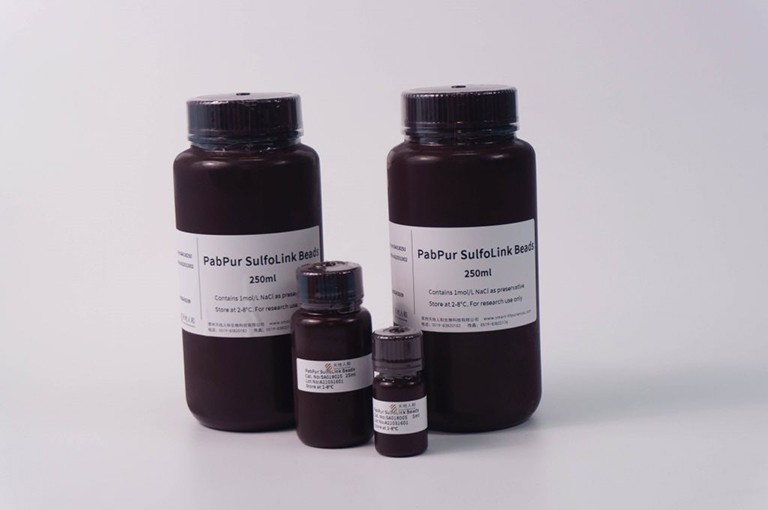 PabPur SulfoLink Beads