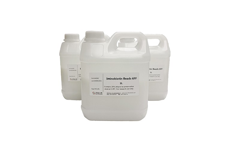Iminobiotin Beads 6FF