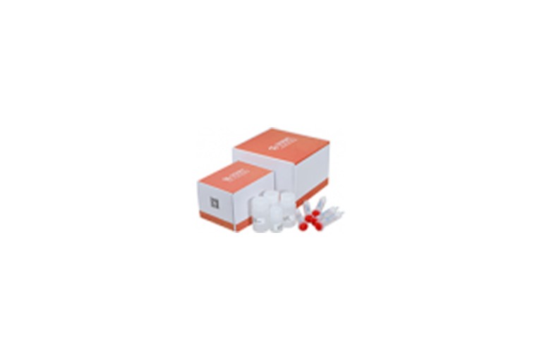 AbPur rProtein G Kit