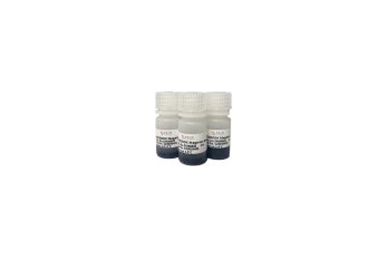 Anti-DYKDDDDK Magarose Beads