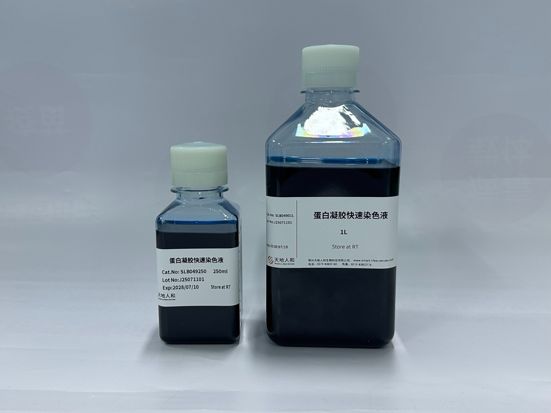 蛋白凝胶快速染色液