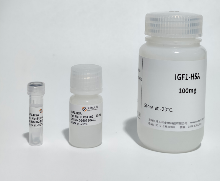 IGF1-HSA