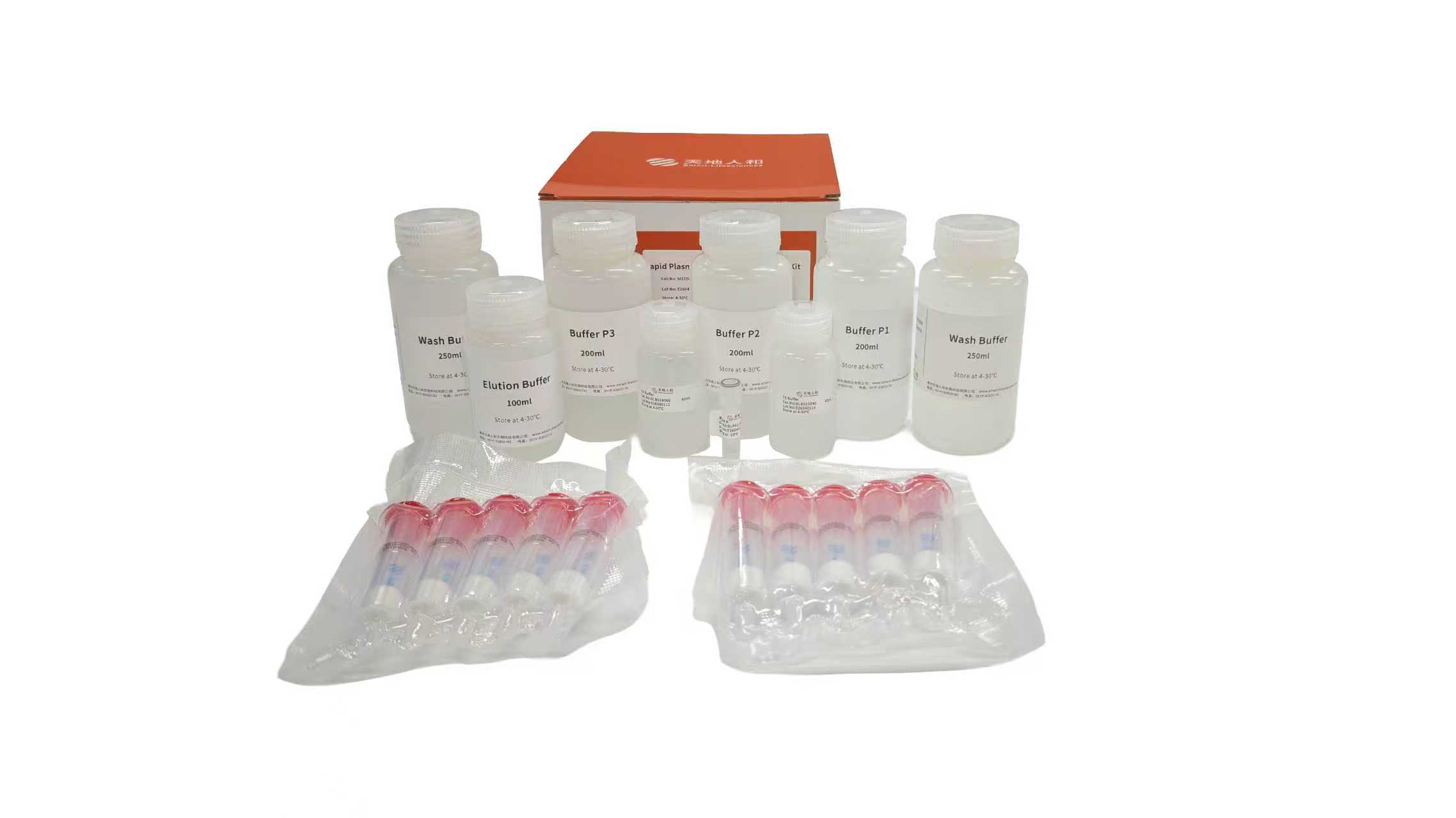 Rapid Plasmid Purification MegaPrep Kit