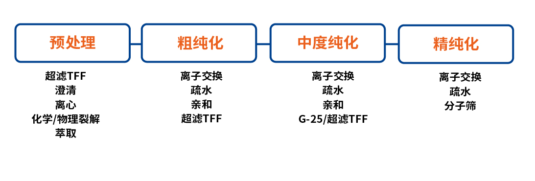 8191719900124892.jpg 未标题-2-24(3).jpg